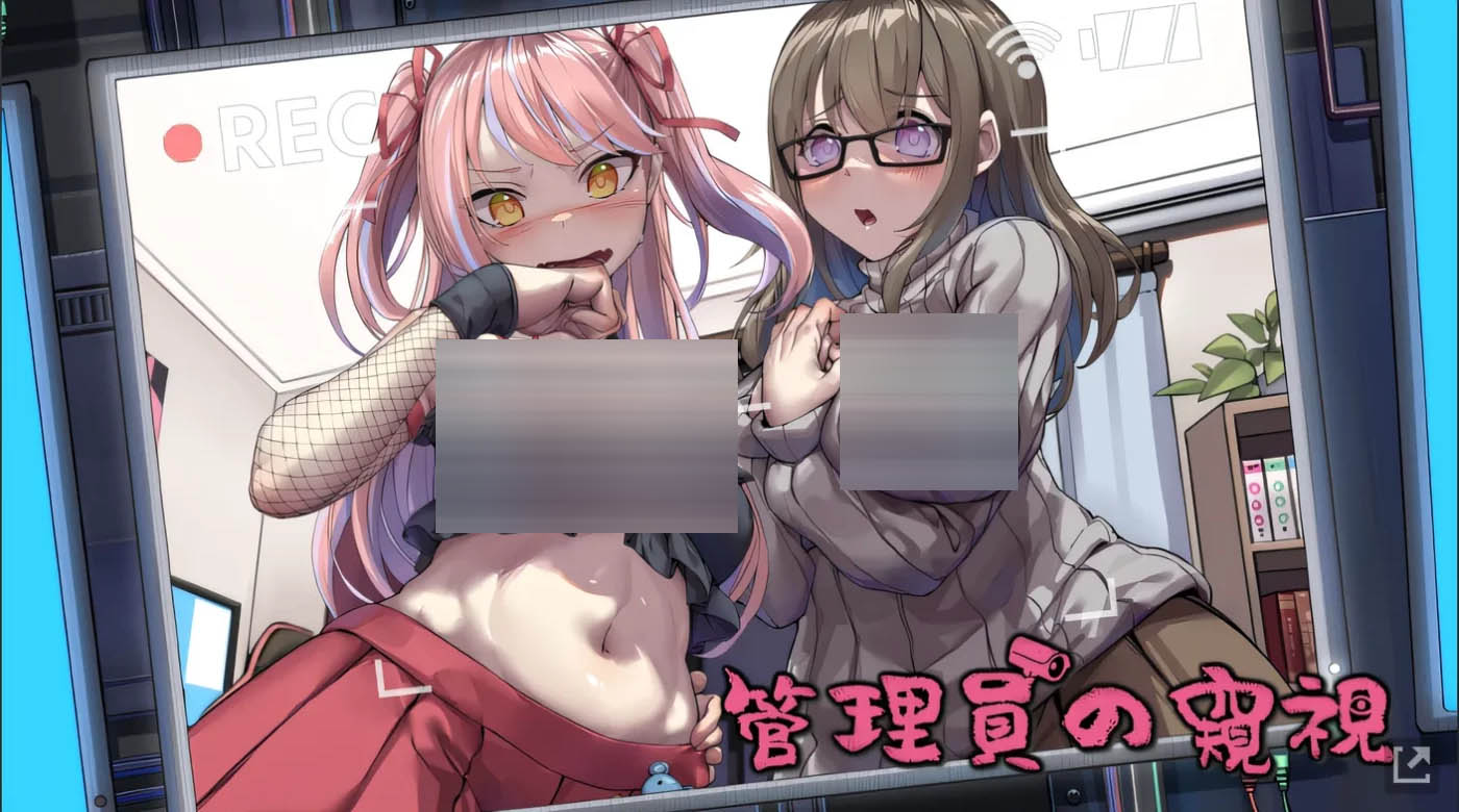  管理员的窥视 v1.04+DLC Steam官方中文版 [更新/517.5M][PC游戏] 