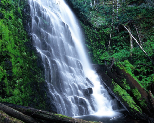 Oracle，trunc()函数