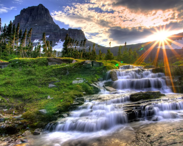 简单补肾的中药方子图片，治心脏降血压的中药方