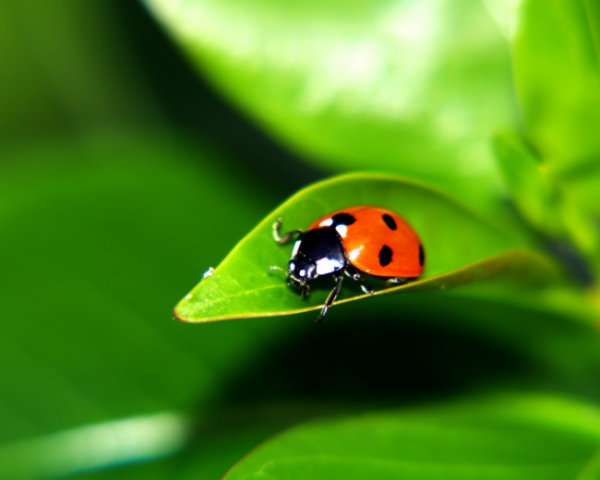 建模算法mdash，mdash，排队论模型