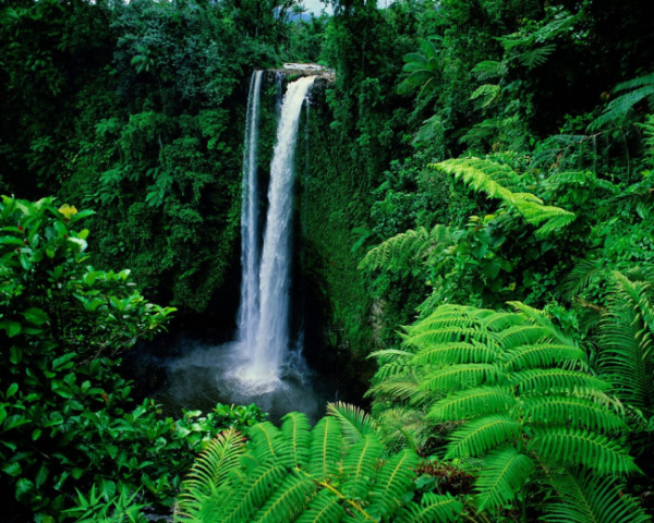 脾胃虚弱食管炎中药方案，心血管病中药方剂