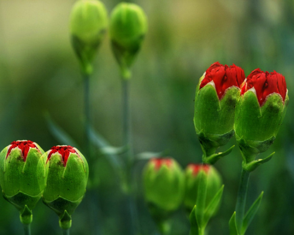 哪个网站能自学办公软件