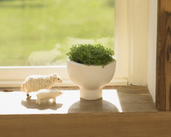 如何写宋词文案范文书法