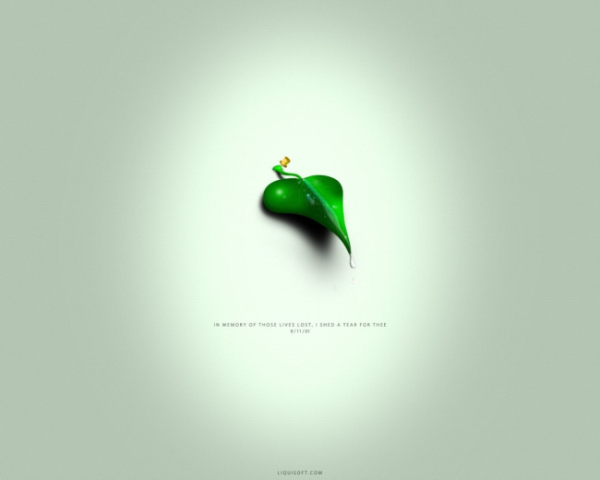 吃什么蔬菜水果养肝护肝排毒呢