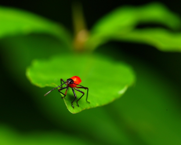 伟景行，citymaker，从入门到精通系列