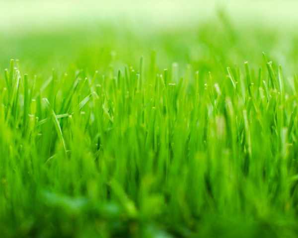 不得不玩玩NHibernate