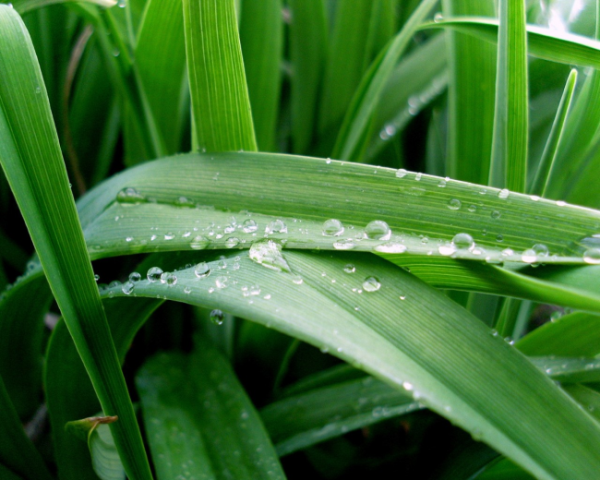 《代码整洁之道，中文版》高清，PDF，电子书下载