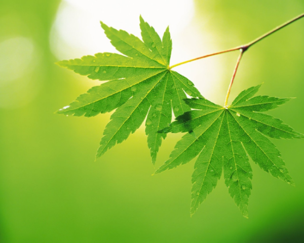 Vmware，Vcenter6.5，全新安装及群集配置介绍