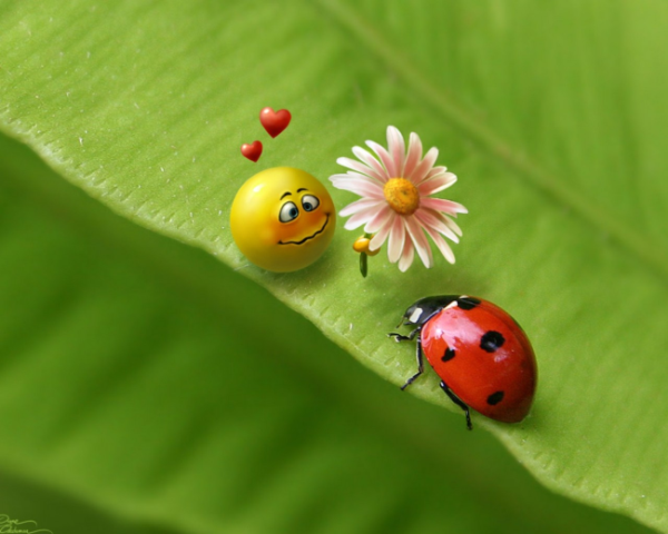 移动端列表布局优化