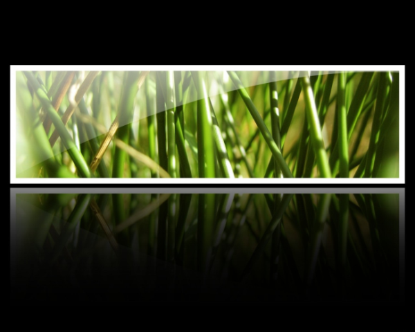 XInput和DirectInput