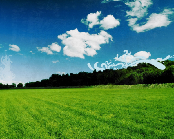 spring框架中AOP菜鸟