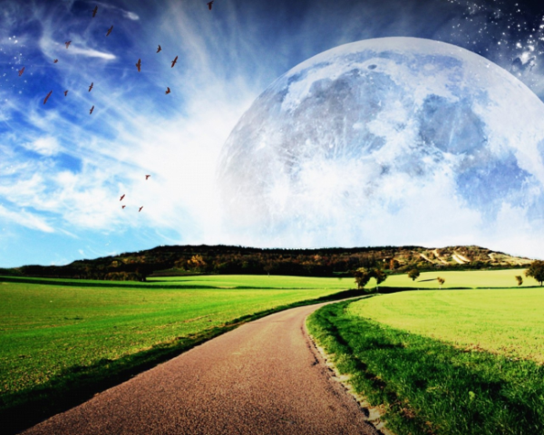 考雅思怎么阅读，青岛网络电视台