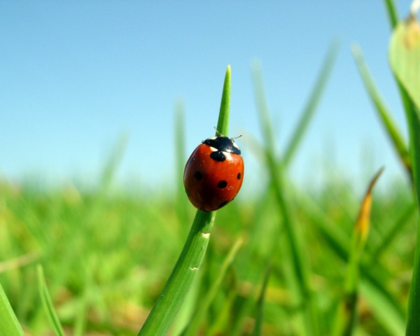 XML入门介绍(什么是XML及XML格式)