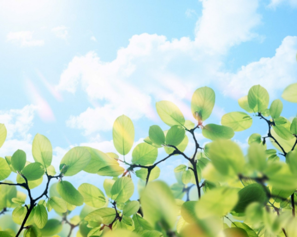 虚拟机中麒麟系统如何修改IP