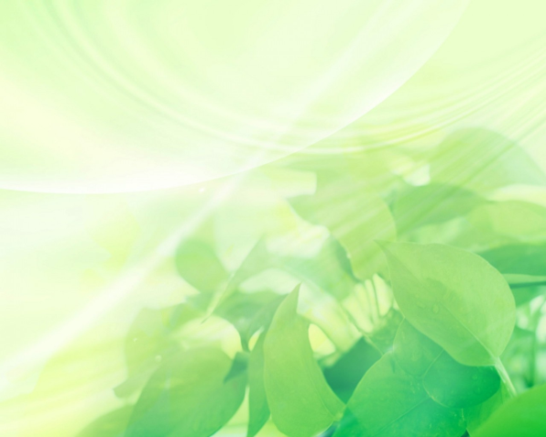 ORA-12514，TNS，监听程序当前无法识别连接描述符中请求服务...