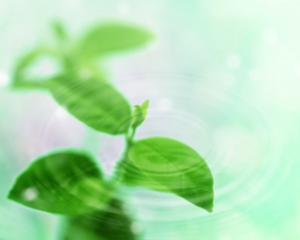 如何写关于中国风电影文案