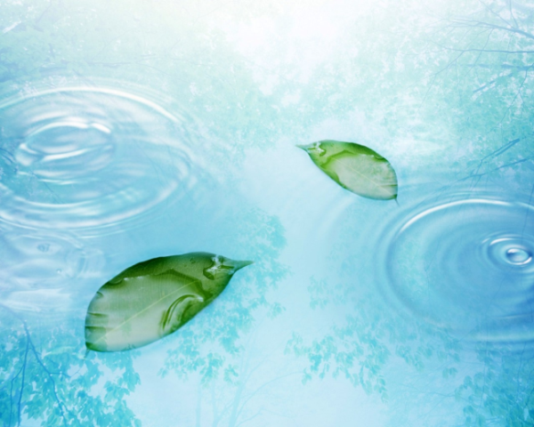 如何写机车文案