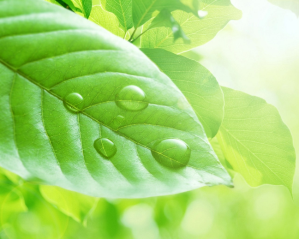 使用BeanUtils.populate将map集合封装为bean对象