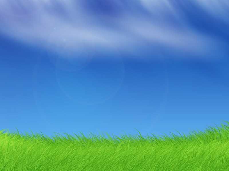 健脾胃和消积食的中药方子，血压低头晕中药方剂