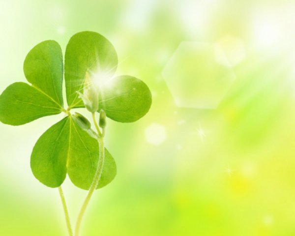 减肥日志如何写文案