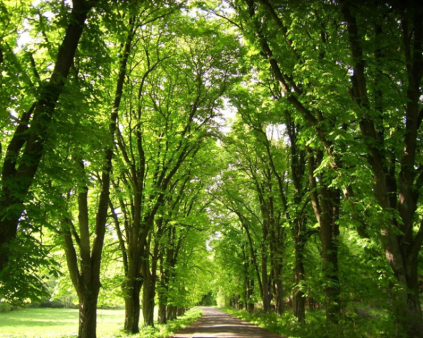 运维监控利器Nagios之:nagios配置详解