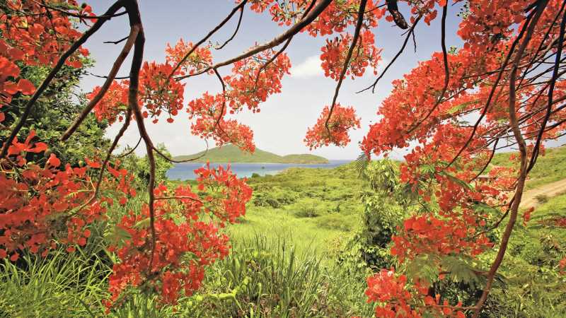 肾虚无法怀孕怎么办呢，后舌苔白厚怎么办女性怎么调理