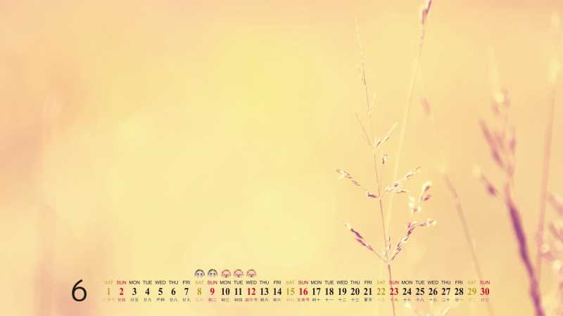 河南移动端seo优化有什么好处