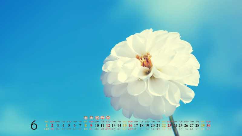 JW，Player开始播放和结束播放事件的捕获