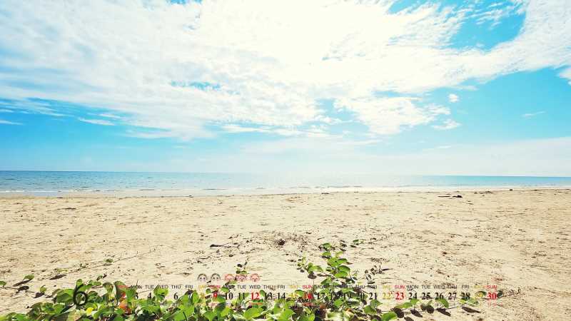 脑血管斑块中药方，抗高血压中药方