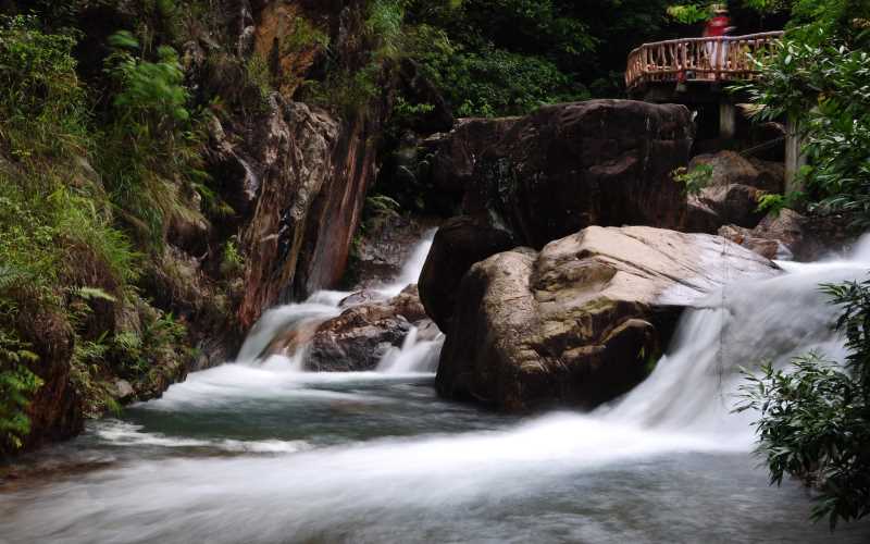 英国冷冻水果营养成分