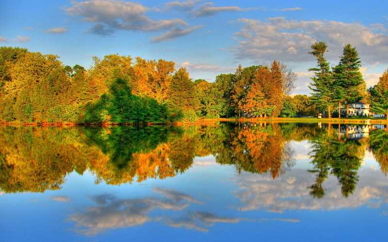 痰湿型高血压中药方剂