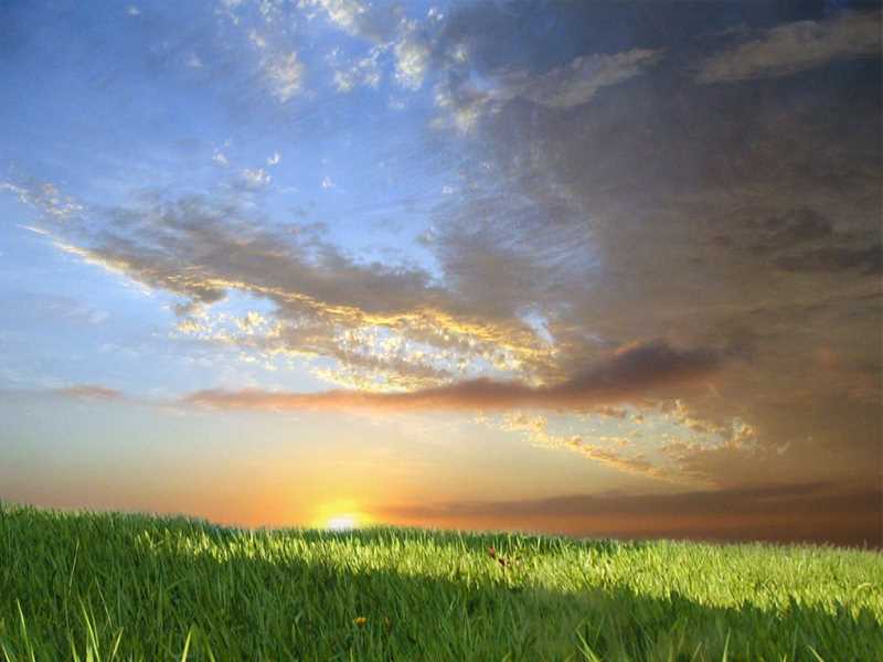 水果营养成分报告表格