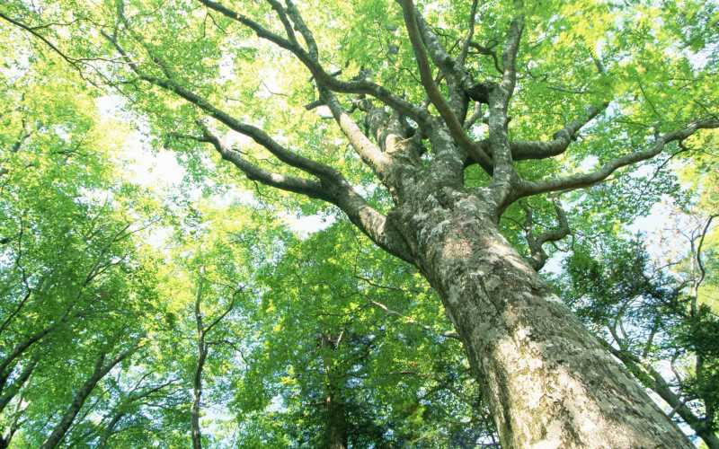 IT人士必去的10个网站