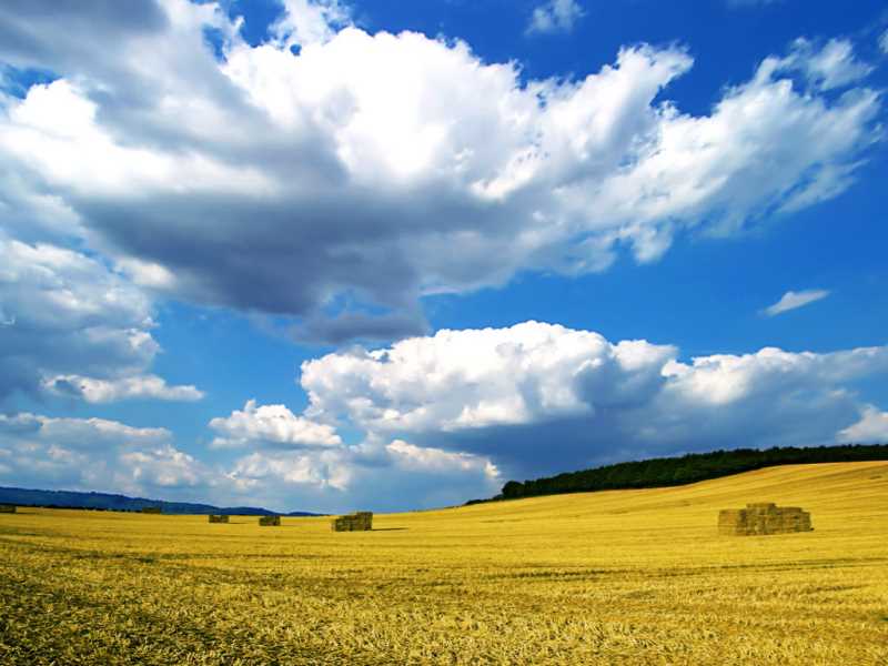 推荐几个bt搜索引擎