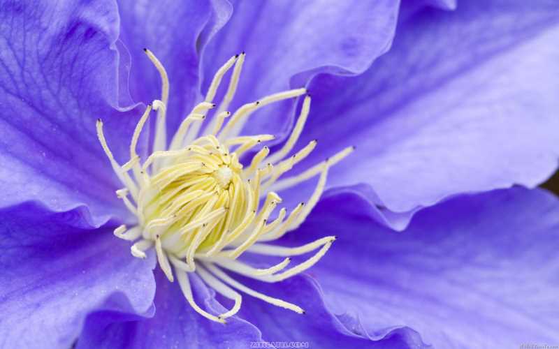 eclipse-che，使用