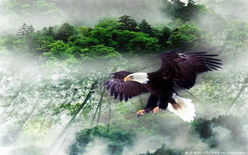 java中不常见的关键字:strictfp