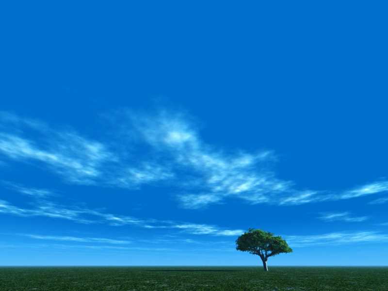 舌苔长期白厚而且便秘怎么办