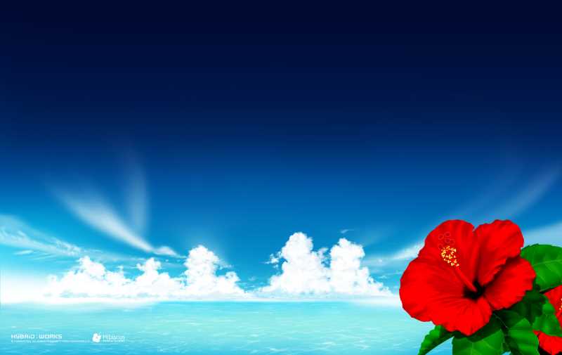 手脚心出汗舌苔厚白怎么办