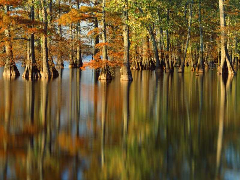 舌苔像黑炭一样白厚怎么办