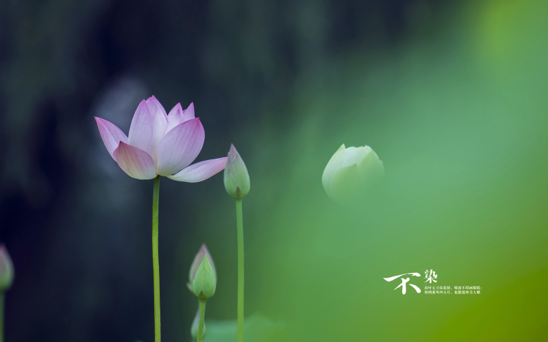 文案到底如何写