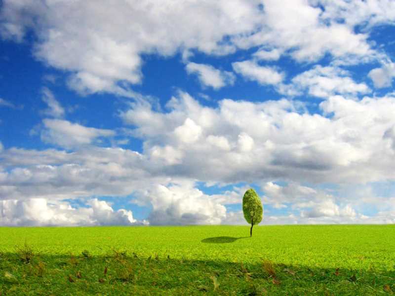 Bugly最简单的配置方法