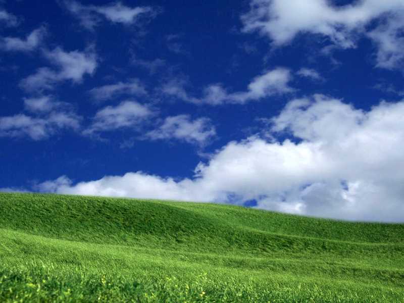 ai写作生成器下载