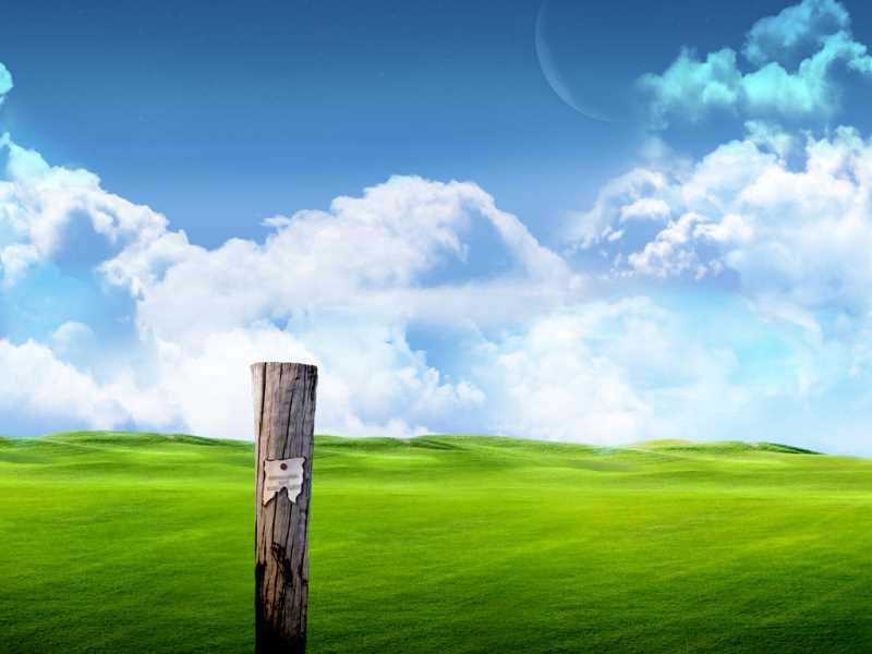 现在手机双曲面最好的，特斯拉美国售价2023