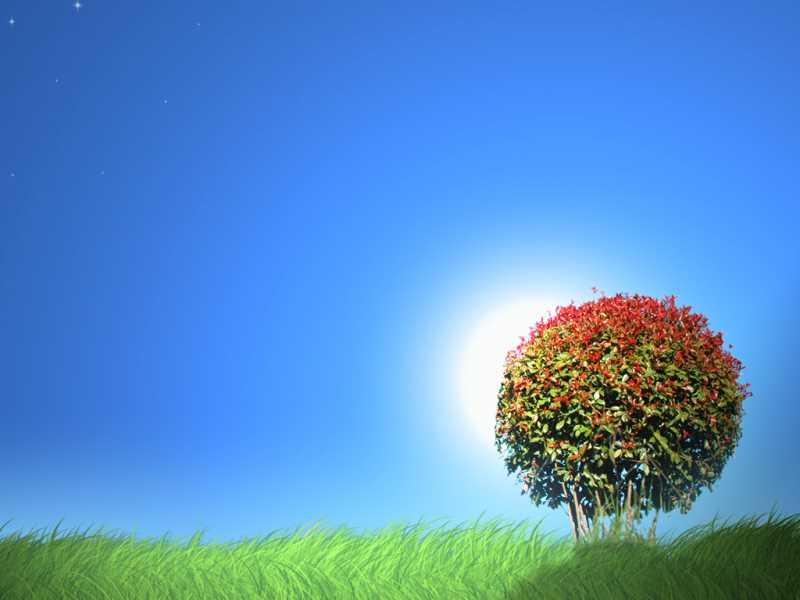 脾胃虚弱能调理么中药方剂，脾虚引起的白发怎么办