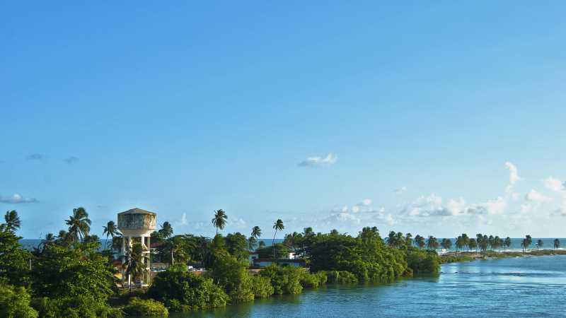 小红帽日本乙女游戏叫什么，天刀手游四季歌捏脸数据男