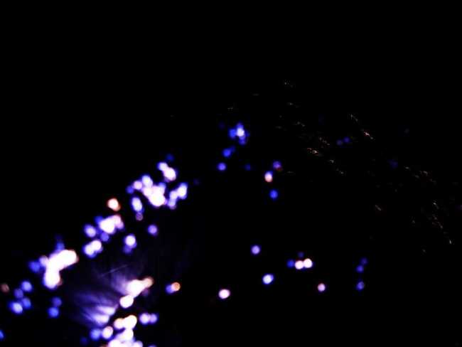 一味中草药治肺热中药方，养心脑血管的中药方子