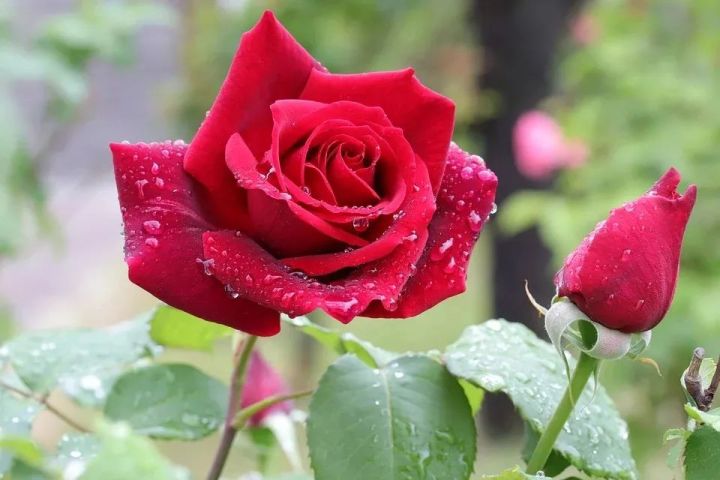 徐克梁祝爱情台词经典句子（共70句）