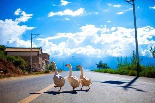 战时心理健康小知识,美容与养生小知识科普 战时心理健康小知识,美容与养生小知识科普