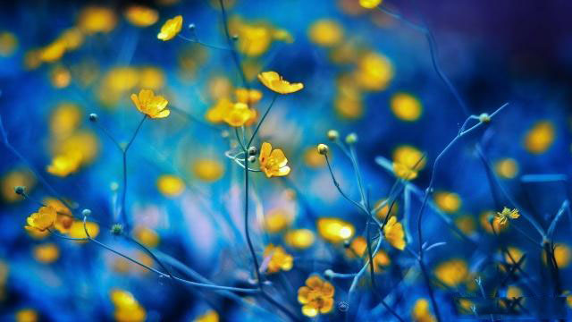 摘自知乎经典句子（精选10句）