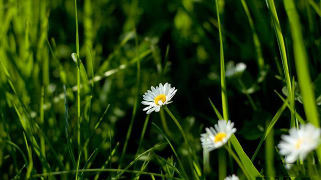 传统的生意经典句子 传统的生意经典句子